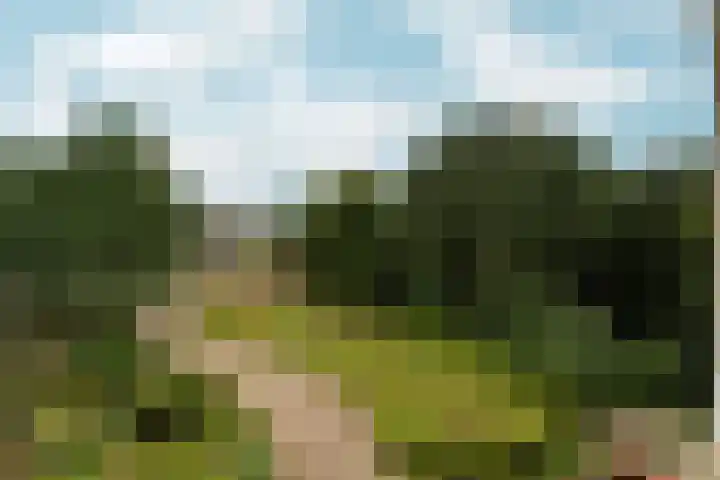 Oude Kleefsebaan 195 Berg en Dal thumbnail 11