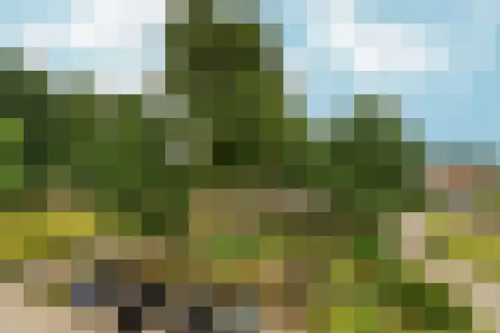 Oude Kleefsebaan 195 Berg en Dal thumbnail 12