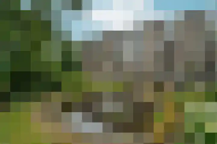 Oude Kleefsebaan 195 Berg en Dal thumbnail 25