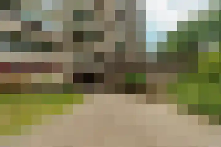 Oude Kleefsebaan 195 Berg en Dal thumbnail 27