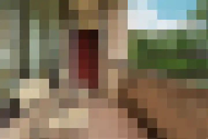 Oude Kleefsebaan 195 Berg en Dal thumbnail 9