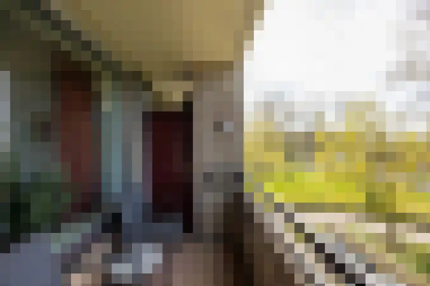 Oude Kleefsebaan 197 Berg en Dal thumbnail 13