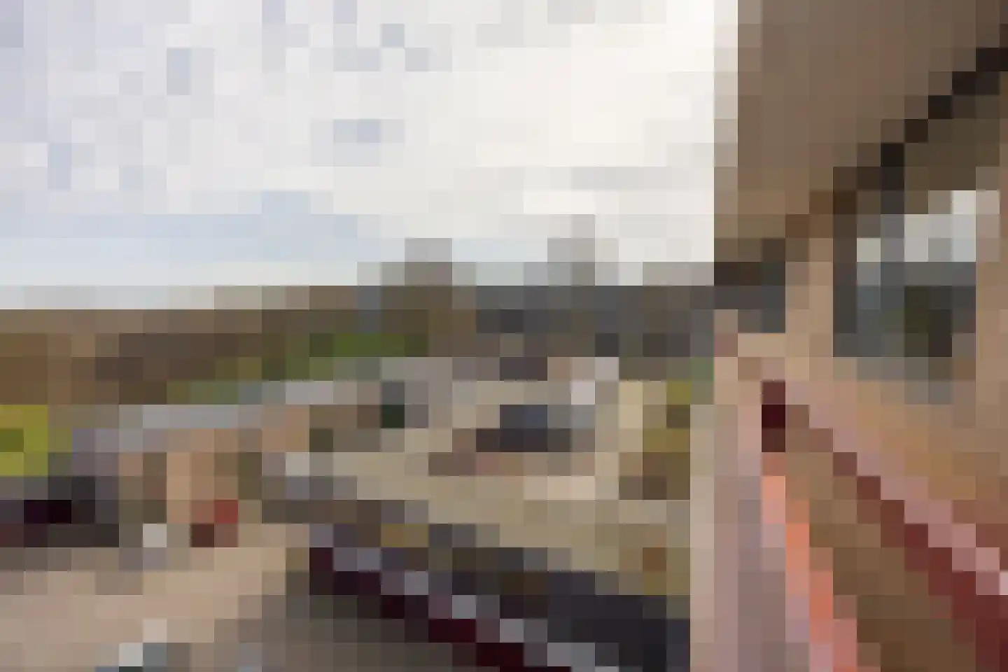 Oude Kleefsebaan 197 Berg en Dal thumbnail 26