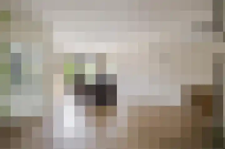Oude Kleefsebaan 22 Overasselt thumbnail 10