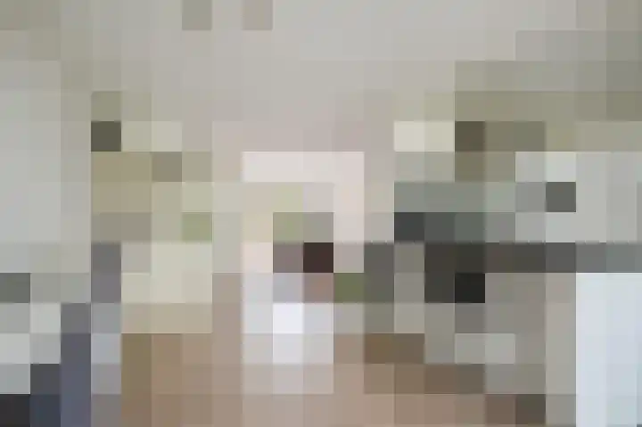 Oude Kleefsebaan 22 Overasselt thumbnail 11