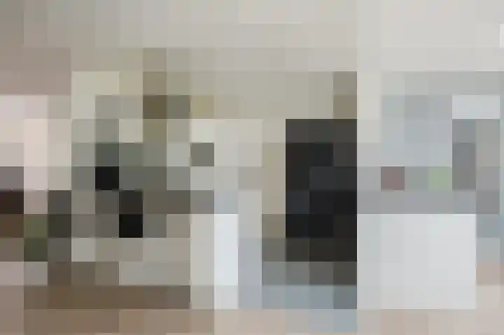 Oude Kleefsebaan 22 Overasselt thumbnail 14