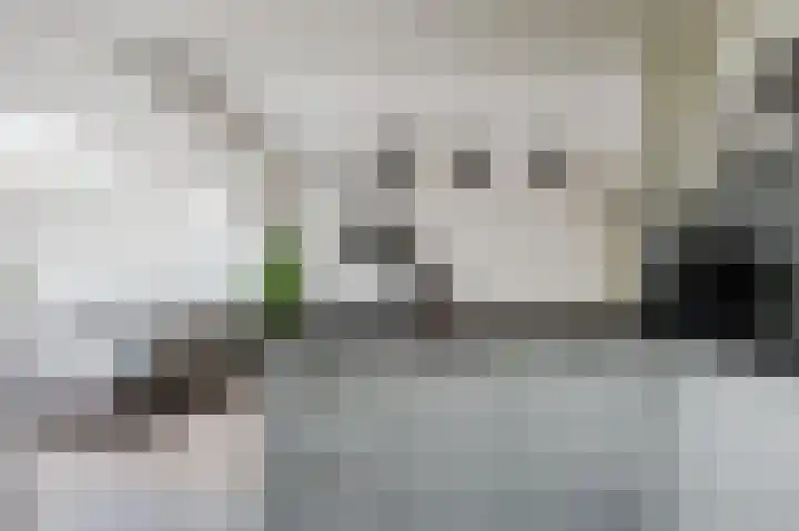 Oude Kleefsebaan 22 Overasselt thumbnail 17