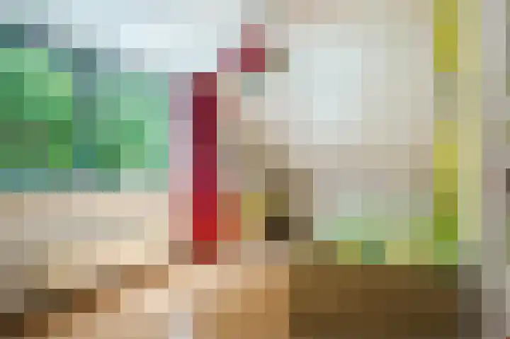 Oude Kleefsebaan 22 Overasselt thumbnail 24