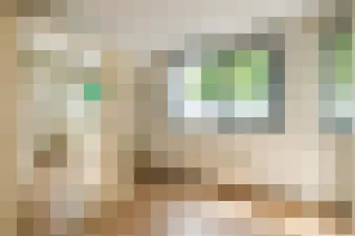 Oude Kleefsebaan 22 Overasselt thumbnail 25