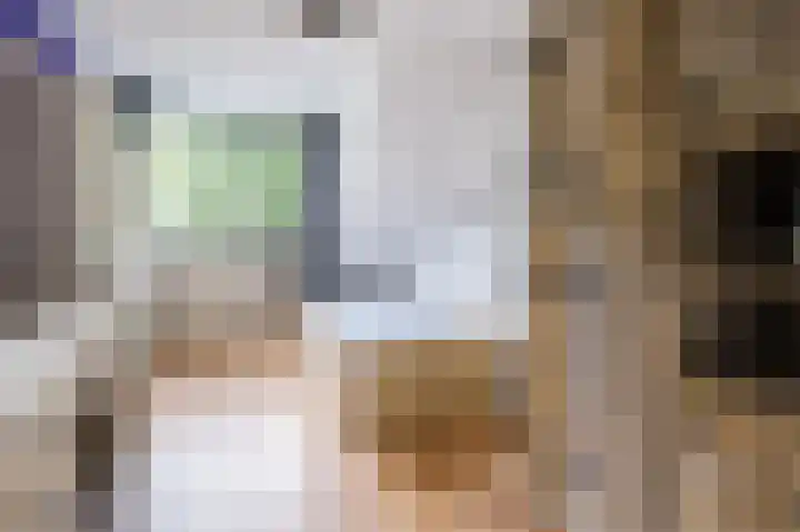 Oude Kleefsebaan 22 Overasselt thumbnail 28