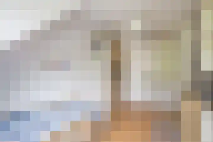 Oude Kleefsebaan 22 Overasselt thumbnail 29