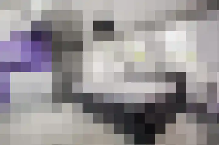 Oude Kleefsebaan 22 Overasselt thumbnail 35