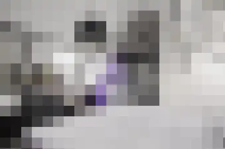 Oude Kleefsebaan 22 Overasselt thumbnail 37