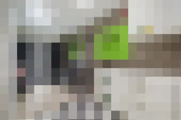 Oude Kleefsebaan 22 Overasselt thumbnail 38