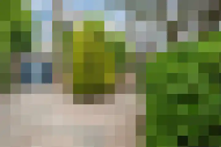 Oude Kleefsebaan 22 Overasselt thumbnail 4