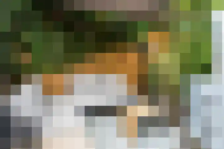Oude Kleefsebaan 22 Overasselt thumbnail 42