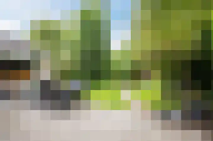 Oude Kleefsebaan 22 Overasselt thumbnail 43