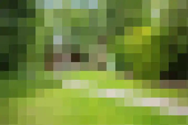 Oude Kleefsebaan 22 Overasselt thumbnail 44
