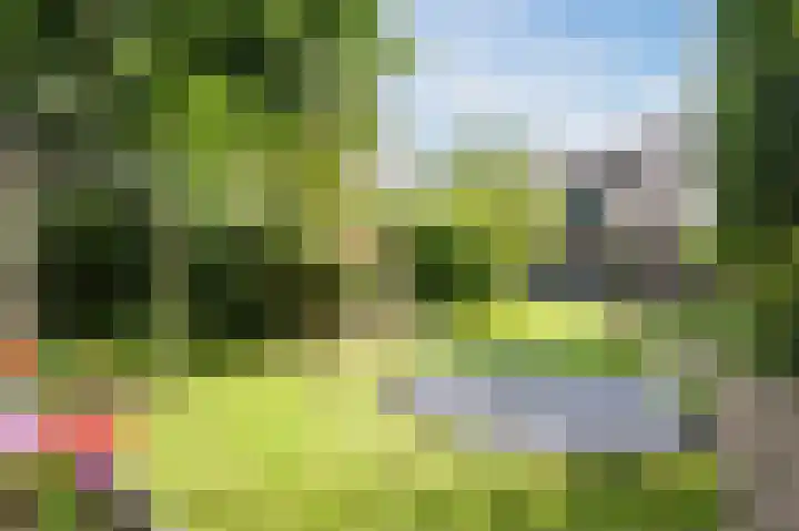Oude Kleefsebaan 22 Overasselt thumbnail 45