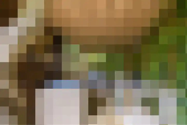 Oude Kleefsebaan 22 Overasselt thumbnail 48