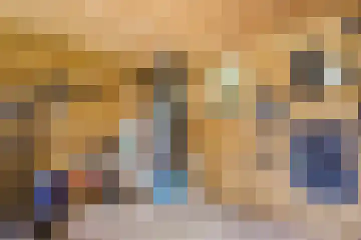 Oude Kleefsebaan 22 Overasselt thumbnail 49