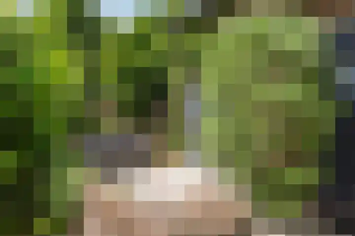 Oude Kleefsebaan 22 Overasselt thumbnail 5