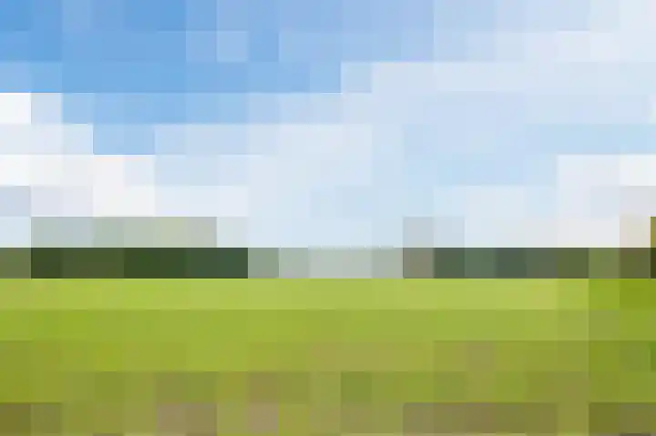 Oude Kleefsebaan 22 Overasselt thumbnail 51