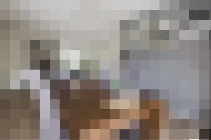 Oude Kleefsebaan 22 Overasselt thumbnail 9