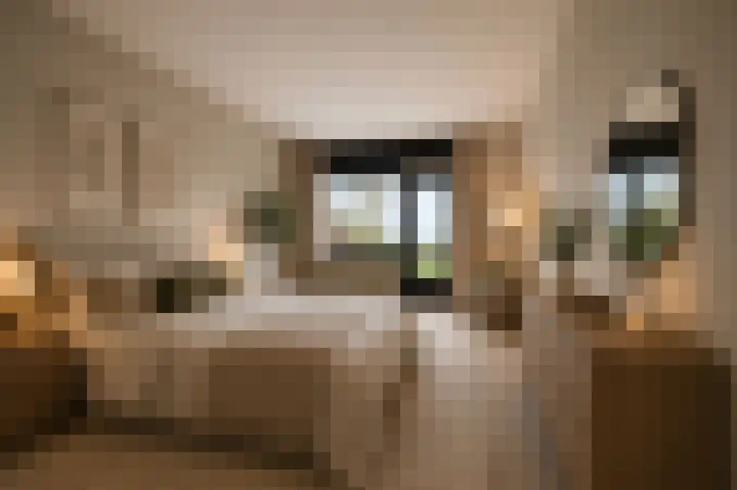 Oude Kleefsebaan 225 e Berg en Dal thumbnail 10