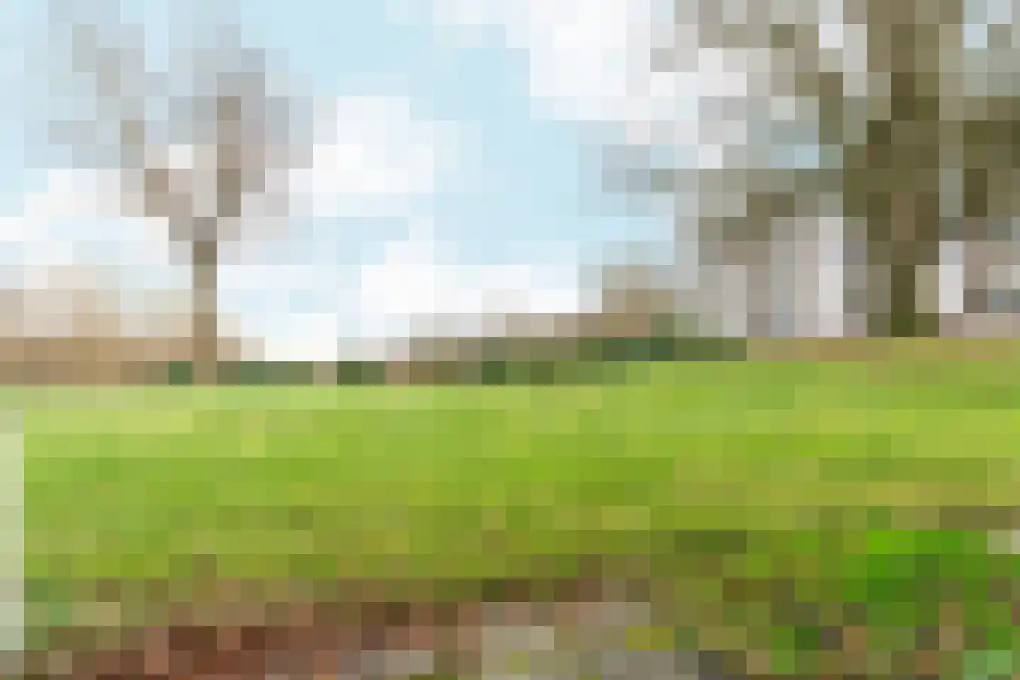 Oude Kleefsebaan 225 e Berg en Dal thumbnail 5