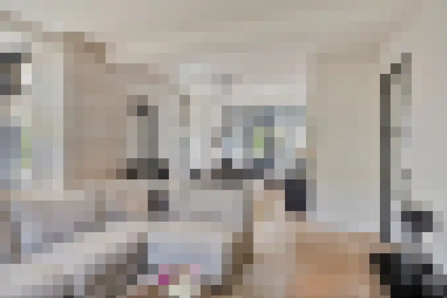 Oude Kleefsebaan 24 Berg en Dal thumbnail 13