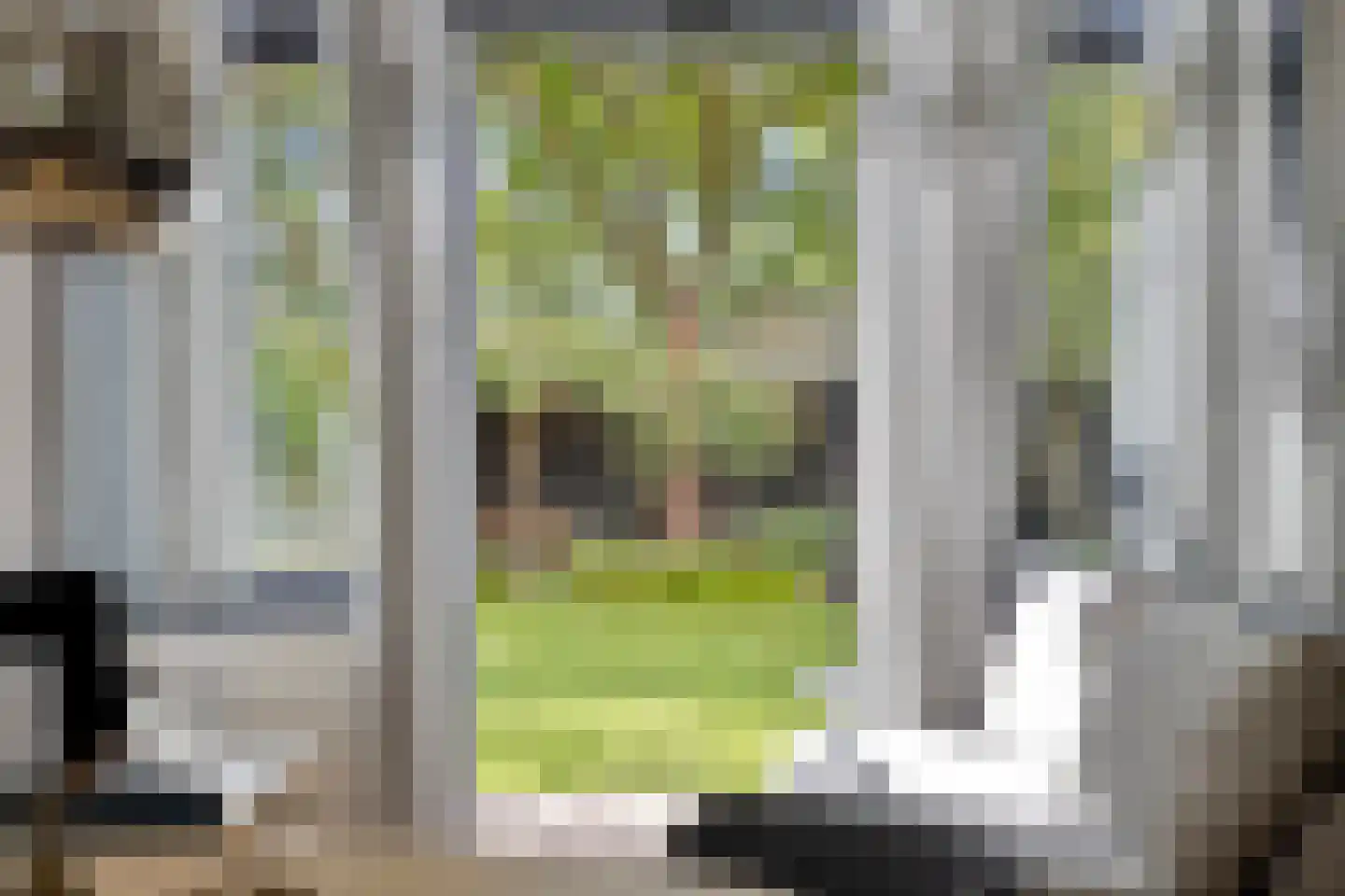 Oude Kleefsebaan 24 Berg en Dal thumbnail 15