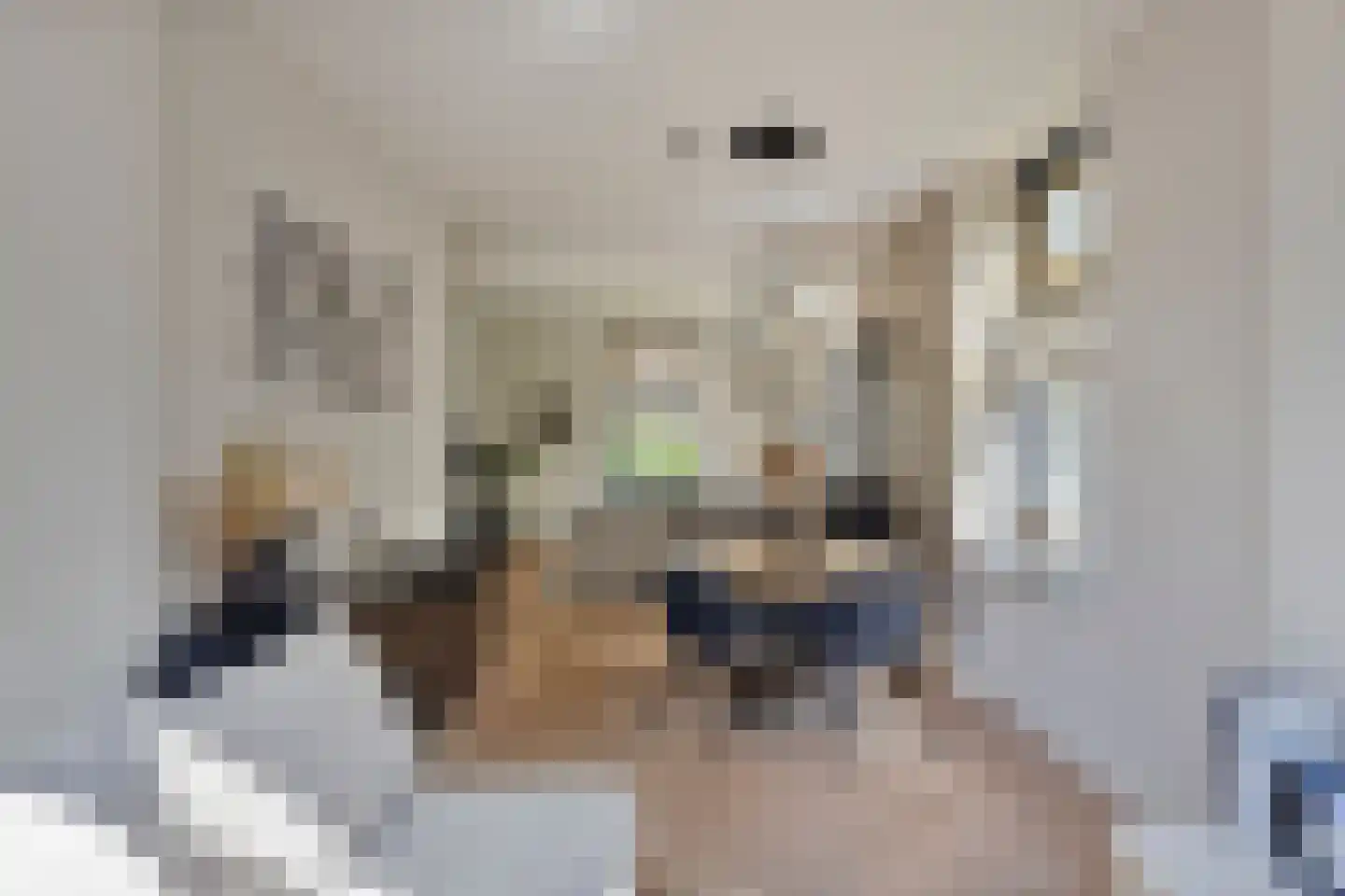 Oude Kleefsebaan 24 Berg en Dal thumbnail 16