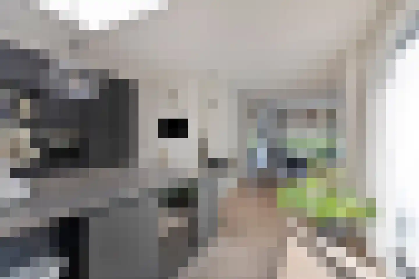 Oude Kleefsebaan 24 Berg en Dal thumbnail 27