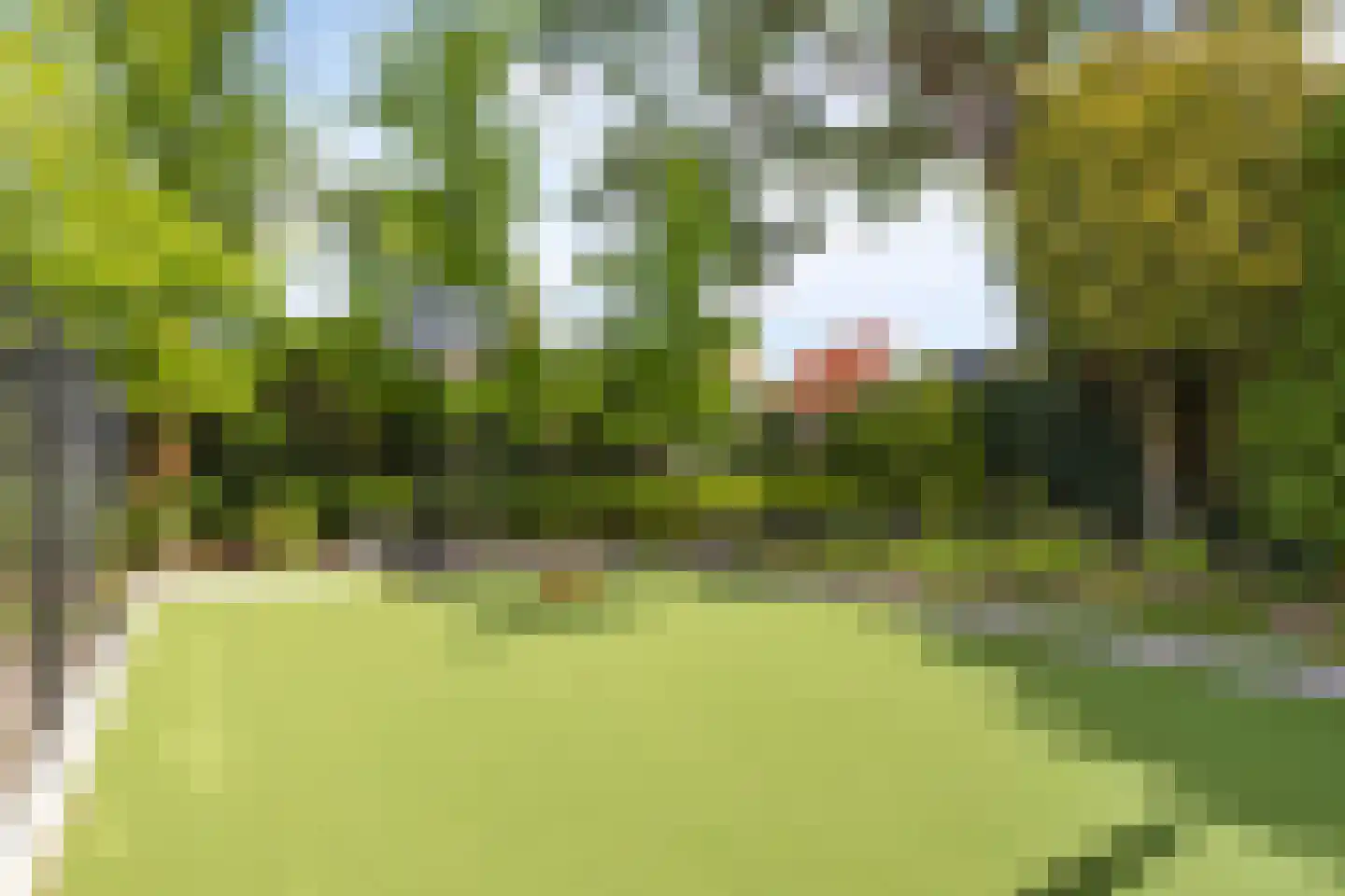 Oude Kleefsebaan 24 Berg en Dal thumbnail 35