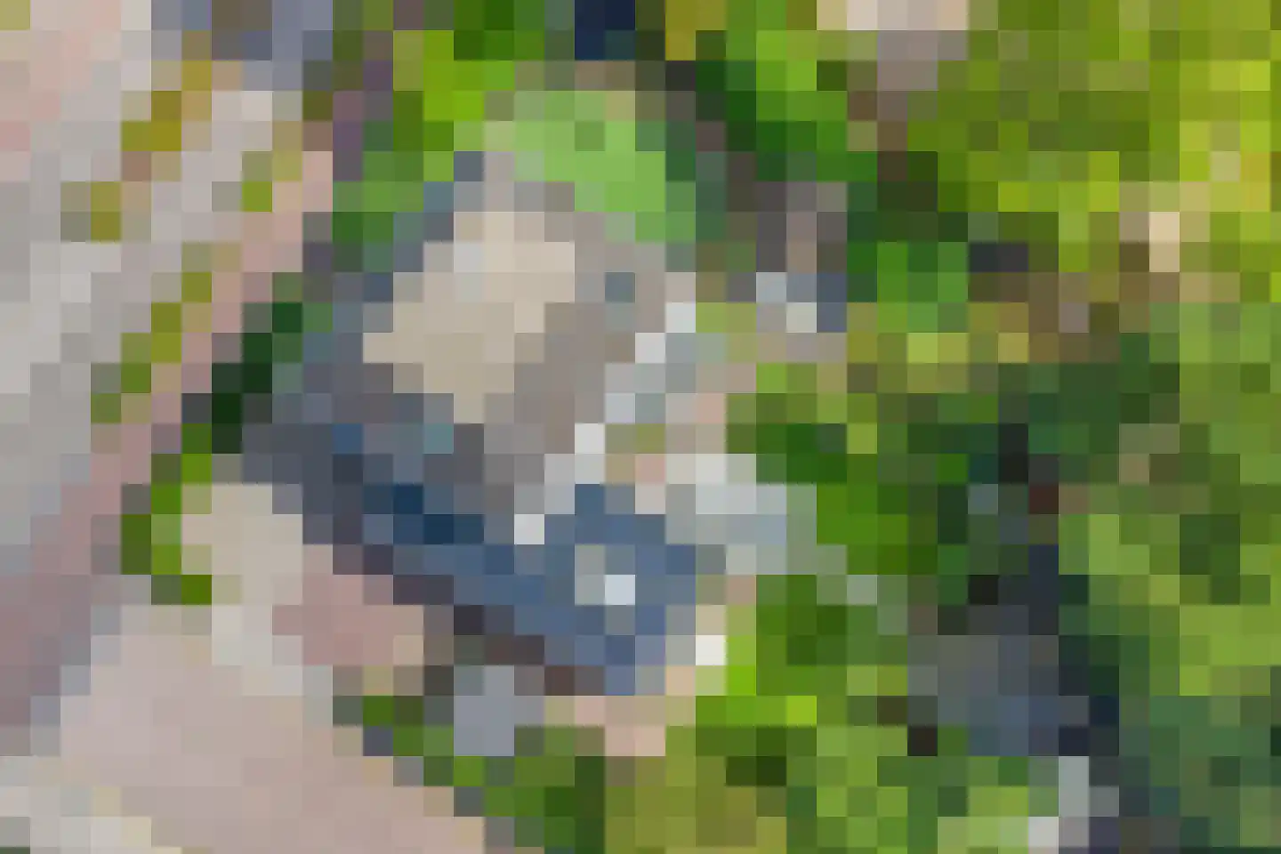 Oude Kleefsebaan 24 Berg en Dal thumbnail 4