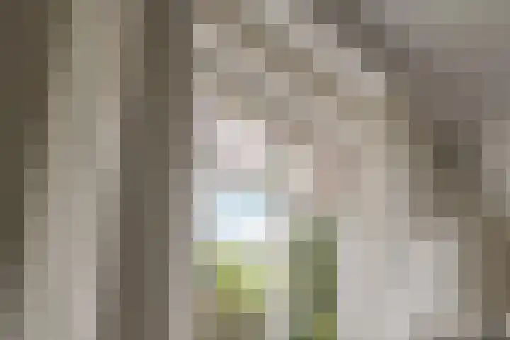 Oude Kleefsebaan 26 Berg en Dal thumbnail 19