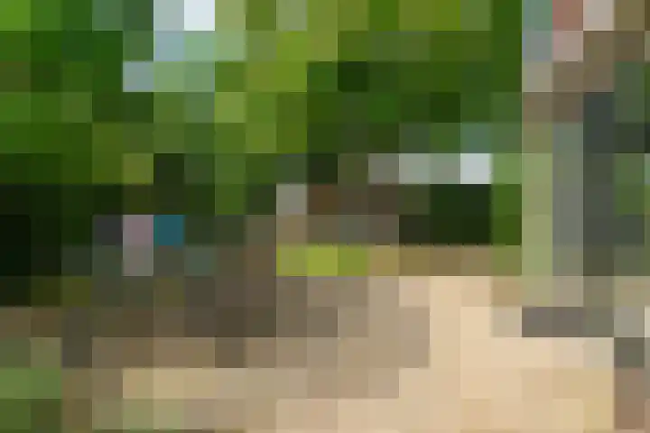 Oude Kleefsebaan 26 Berg en Dal thumbnail 25