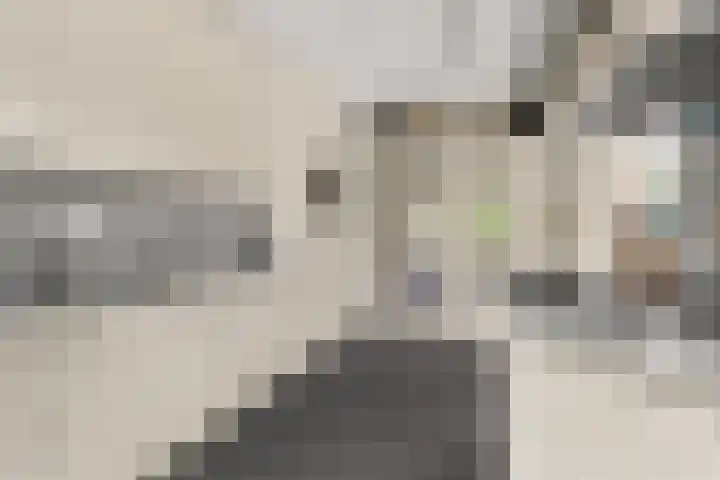 Oude Kleefsebaan 26 Berg en Dal thumbnail 29