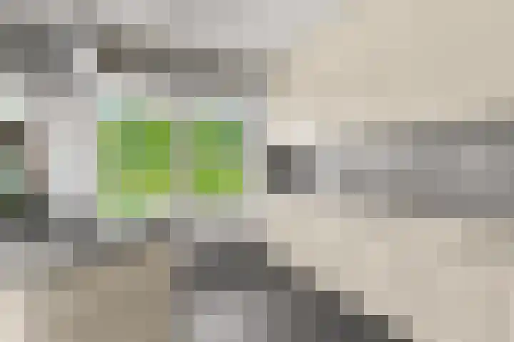 Oude Kleefsebaan 26 Berg en Dal thumbnail 30