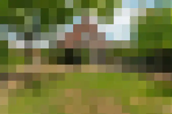 Oude Kleefsebaan 26 Berg en Dal thumbnail 4