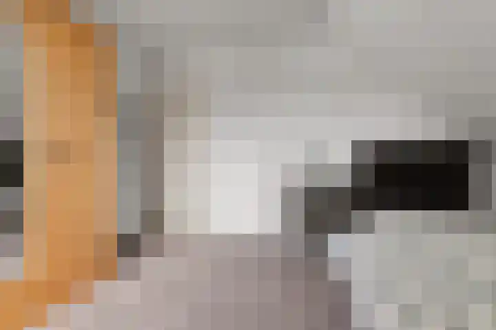 Oude Kleefsebaan 26 Berg en Dal thumbnail 44