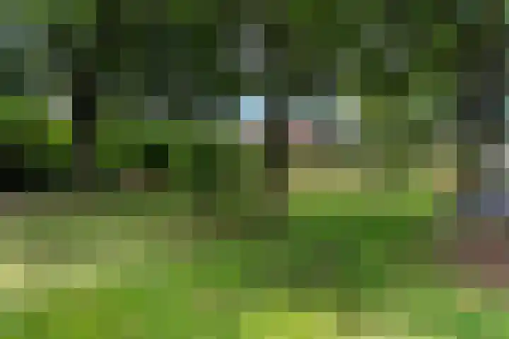 Oude Kleefsebaan 26 Berg en Dal thumbnail 52