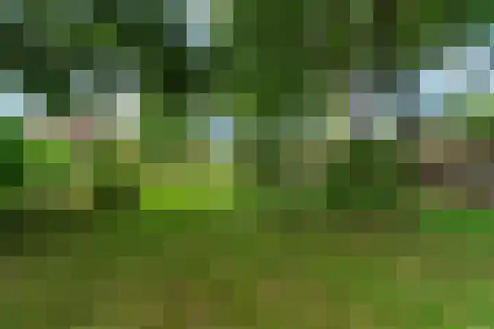 Oude Kleefsebaan 26 Berg en Dal thumbnail 53
