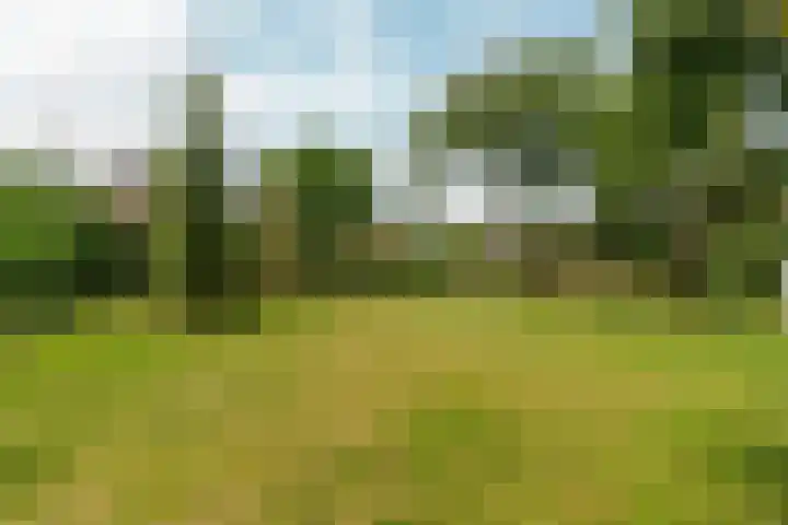 Oude Kleefsebaan 26 Berg en Dal thumbnail 54