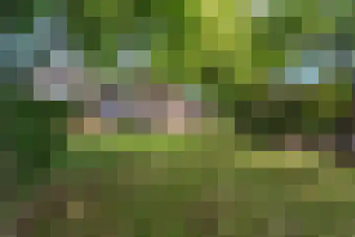 Oude Kleefsebaan 26 Berg en Dal thumbnail 56