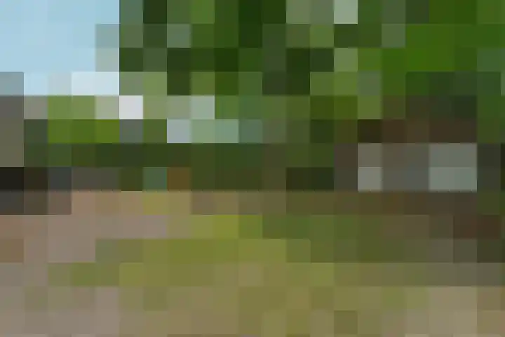 Oude Kleefsebaan 26 Berg en Dal thumbnail 58