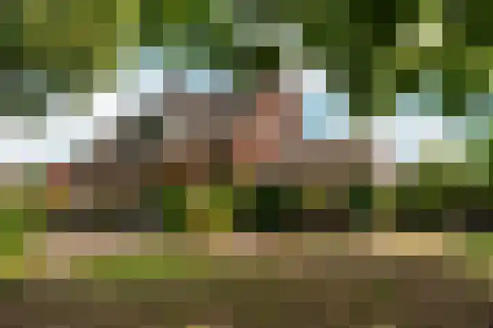 Oude Kleefsebaan 26 Berg en Dal thumbnail 6