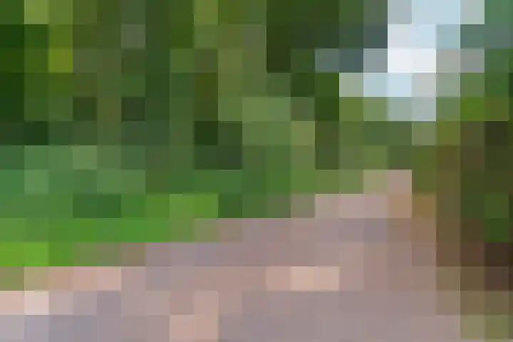Oude Kleefsebaan 26 Berg en Dal thumbnail 62