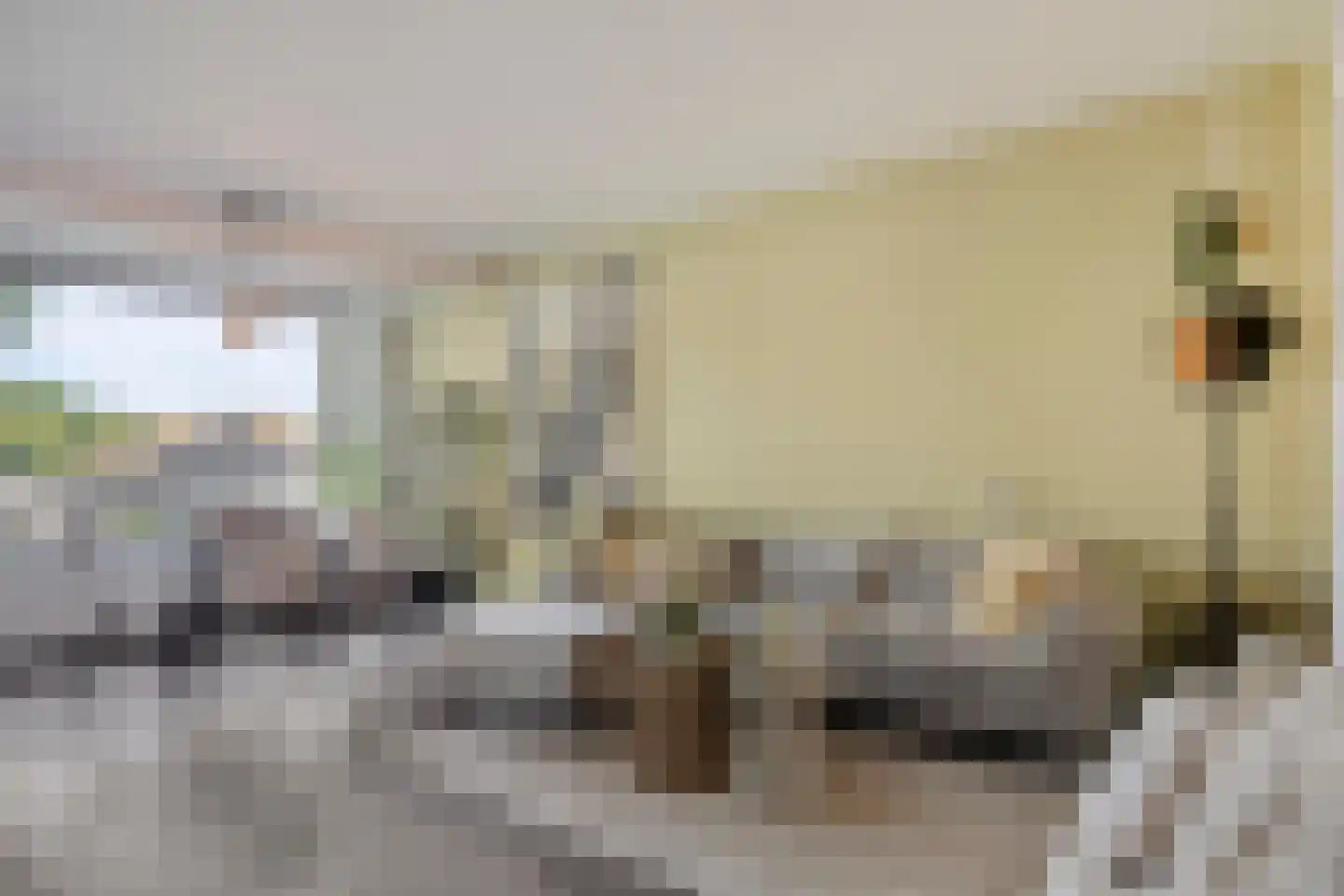 Oude Kleefsebaan 271 Berg en Dal thumbnail 5